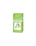 Naturalny olejek eukaliptusowy /Eucalyptus Globulus Oil/ 10 ml Naturalny olejek eukaliptusowy /Eucalyptus Globulus Oil/ 10 ml