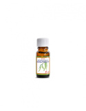 Naturalny olejek eukaliptusowy /Eucalyptus Globulus Oil/ 10 ml Naturalny olejek eukaliptusowy /Eucalyptus Globulus Oil/ 10 ml