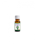 Naturalny olejek z Szałwii lekarskiej /Salvia Officinalis Oil/ 10 ml Naturalny olejek z Szałwii lekarskiej /Salvia Officinalis Oil/ 10 ml