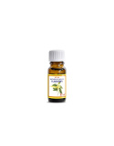 Etja Olejek Ylang Ylang /Cananga Odorata Flower Oil/ 10 ml