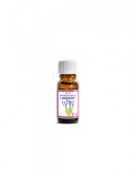 Olejek lawendowy /Lavandula Angustifolia Oil/ 10 ml