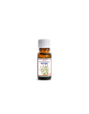Olejek miętowy /Mentha Piperita Oil/ 10 ml Olejek miętowy /Mentha Piperita Oil/ 10 ml