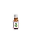 Olejek Paczulowy /Pogostemon Cablin Oil/ 10 ml Olejek Paczulowy /Pogostemon Cablin Oil/ 10 ml