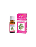 Olejek z drzewa herbacianego (Tea Tree) /Melaleuca Alternifolia Oil/ 10 ml