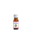 Olejek z drzewa herbacianego (Tea Tree) /Melaleuca Alternifolia Oil/ 10 ml Olejek z drzewa herbacianego (Tea Tree) /Melaleuca Alternifolia Oil/ 10 ml