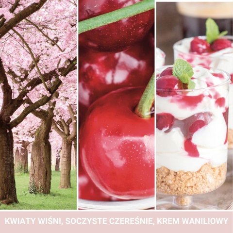 Pink Cherry & Vanilla wosk