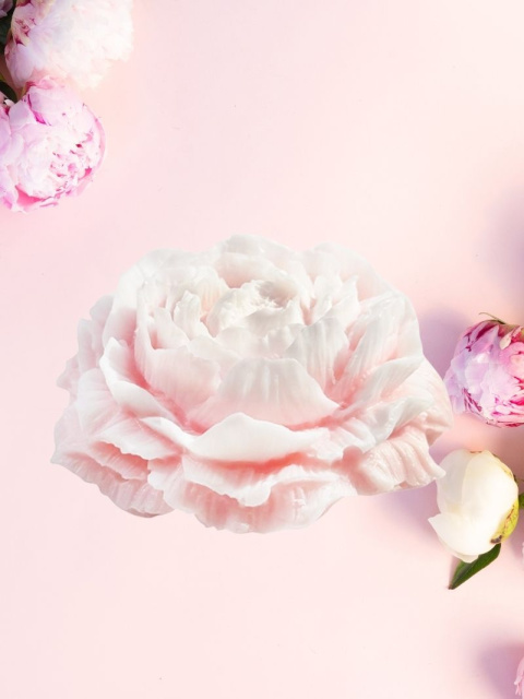 Mydło glicerynowe Peony na tle płatków piwonii, 80 g, Stara Mydlarnia Mydło glicerynowe Peony na tle płatków piwonii, 80 g, Stara Mydlarnia