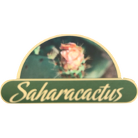 Saharacactus